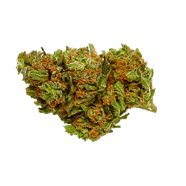 Top Shelf Elite Pineapple Crack Feminized