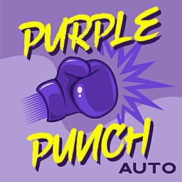 Purple Punch Autoflower