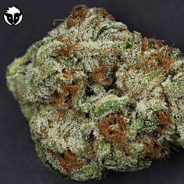 Rare Dankness Seeds Doc's OG Regular