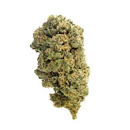 Sagarmatha Seeds Quick Silver Feminized