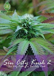 Alphakronik Genes Seeds Sin City Kush 2 Regular