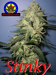 Next Generation Stinky Regular