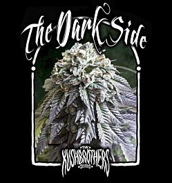 The Kush Brothers The Dark Side Feminized