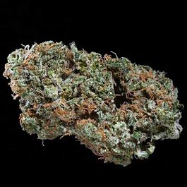 Moxie Seeds V.C.D.C Feminized