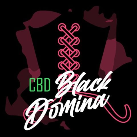 CBD Black Domina Feminized Seeds