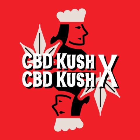 CBD Kush x CBD Kush Feminized