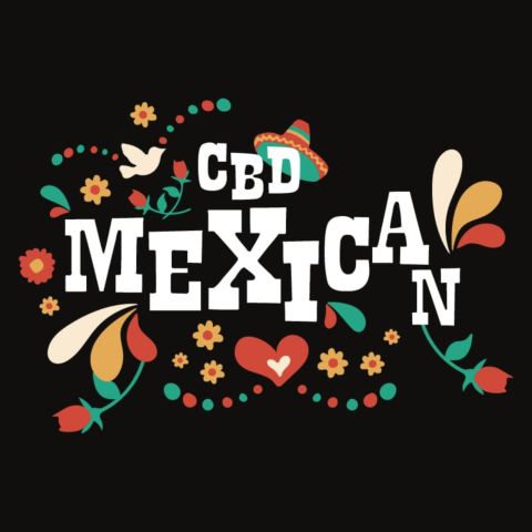 CBD Mexican Feminized Seeds