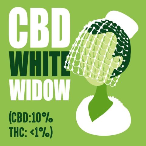 CBD White Widow (CBD:10% THC: <1%)