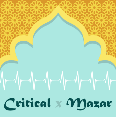 Critical x Mazar Autoflower