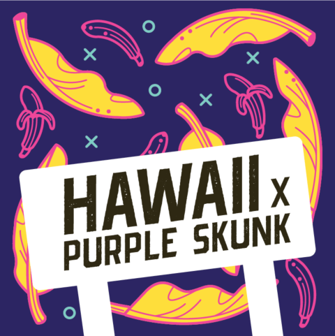 Hawaii x Purple Skunk Regular Seeds