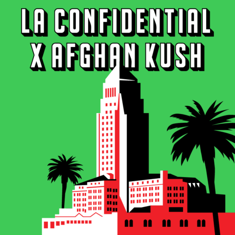 LA Confidential x Afghan Kush Feminized