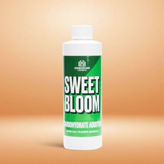 Sweet Bloom by Homegrown Cannabis Co.