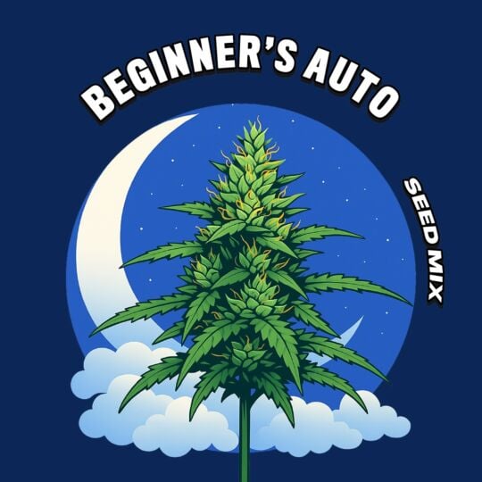 Beginner's Autoflower Seed Mix