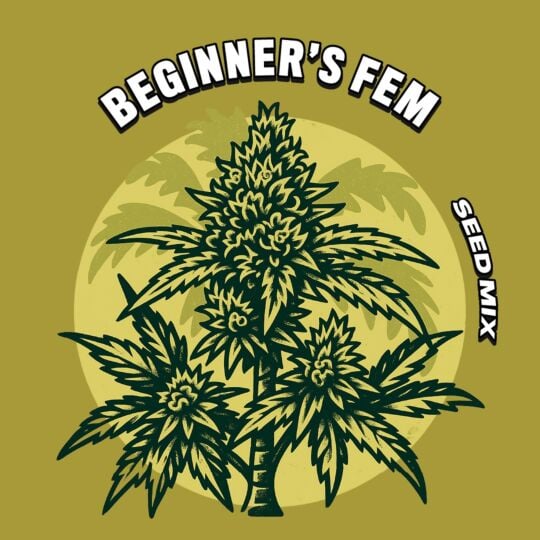 Beginner's Feminized Seed Mix