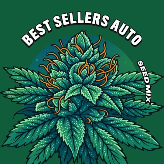 Best Sellers Autoflower Seed Mix