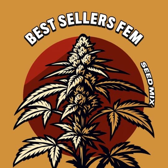 Best Sellers Feminized Seed Mix
