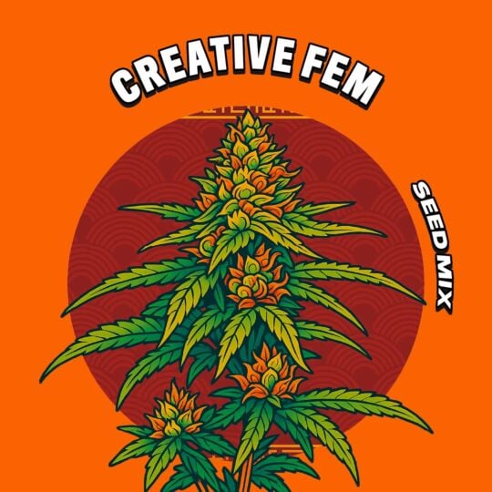 Creative Feminized Seed Mix