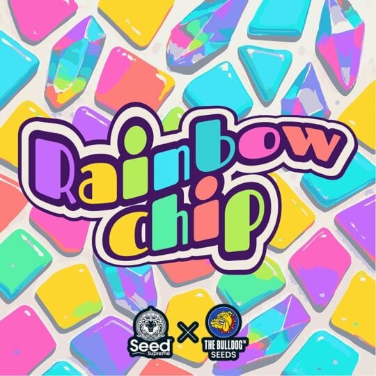 Rainbow Chip Feminized - The Bulldog Seeds & Seed Supreme Collab
