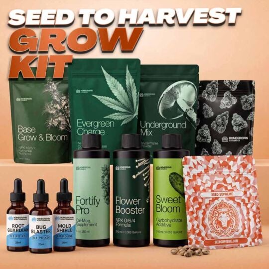Seed to Harvest Grow Kit by Homegrown Cannabis Co.