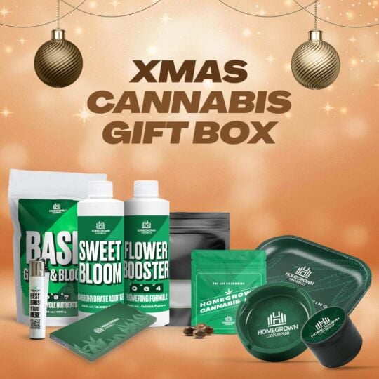 XMAS Cannabis Gift Box by Homegrown Cannabis Co.