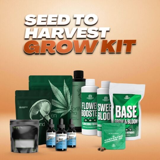 Seed to Harvest Grow Kit by Homegrown Cannabis Co.