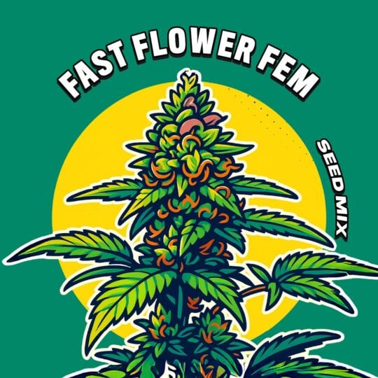 Fast Flower Feminized Seed Mix
