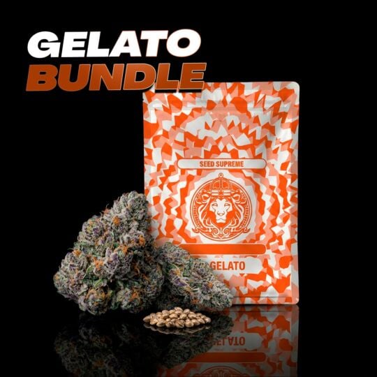 Gelato THCa Flower + Seeds Bundle