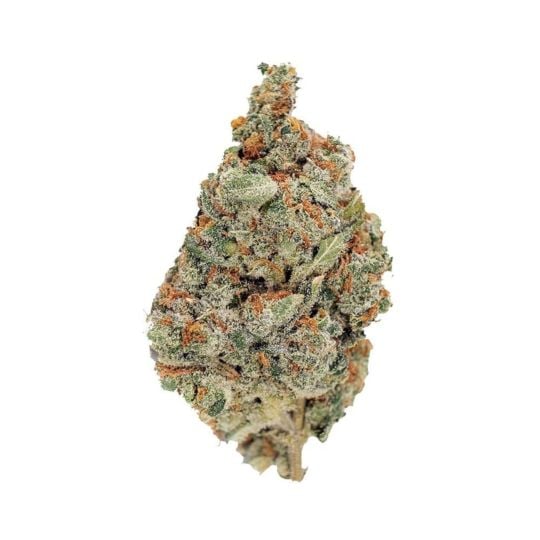 Buy GG 4 x Zkittles Feminized by SeedSupreme | SeedSupreme