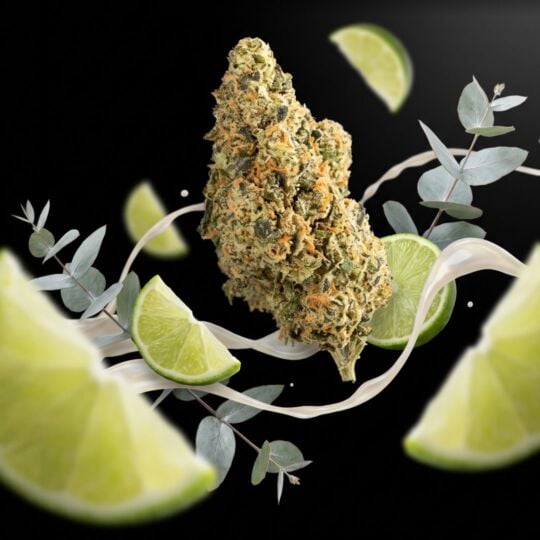 Ghost Train Haze THCa Flower