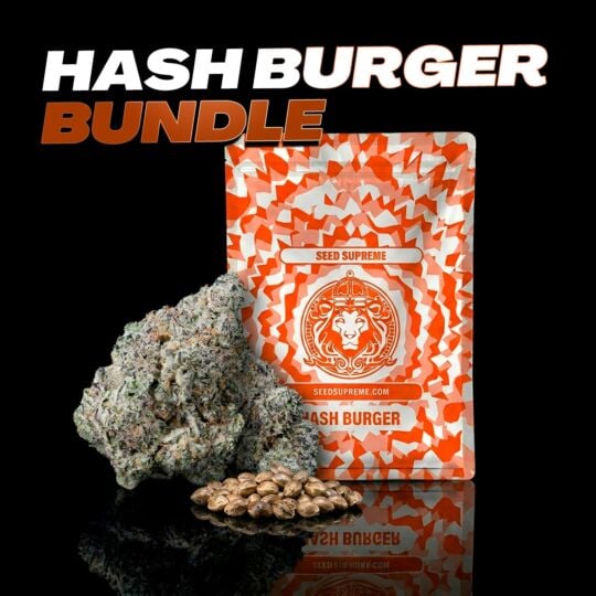 Hash Burger THCa Flower + Seeds Bundle