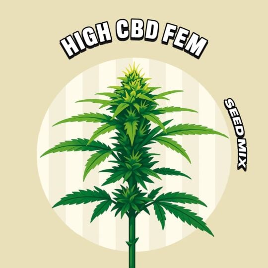High CBD Feminized Seed Mix