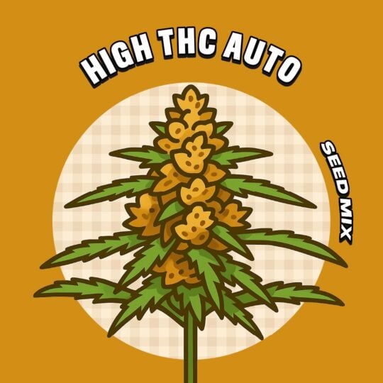 High THC Autoflower Seed Mix
