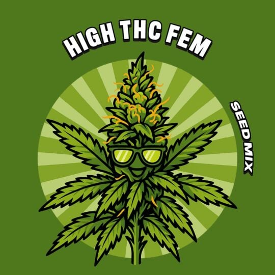 High THC Feminized Seed Mix