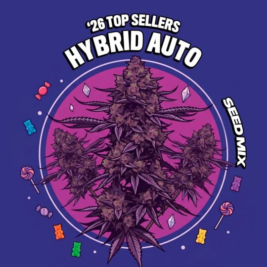 '26 Top Seller Hybrid Auto Seed Mix