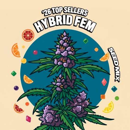 '26 Top Seller Hybrid Fem Seed Mix