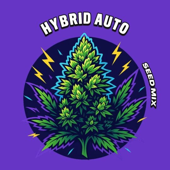 Hybrid Autoflower Seed Mix