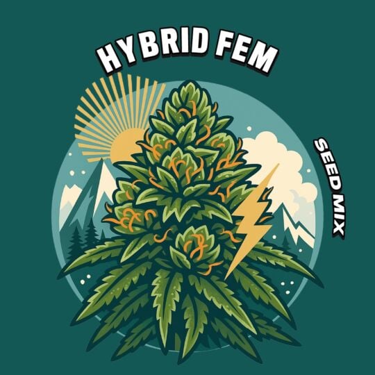 Hybrid Feminized Seed Mix