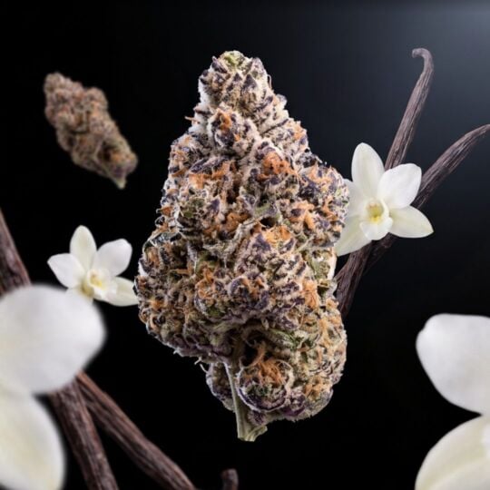Ice Cream Cake THCa Flower