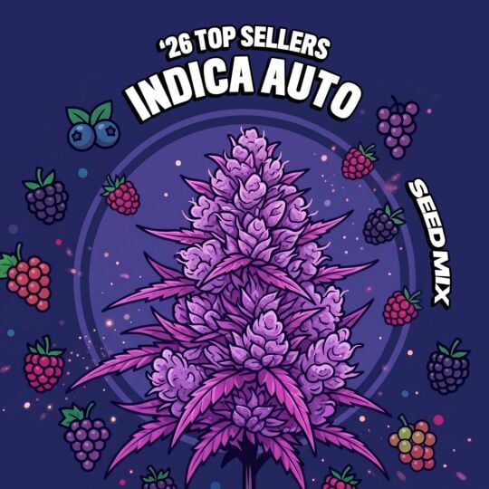 '26 Top Seller Indica Auto Seed Mix