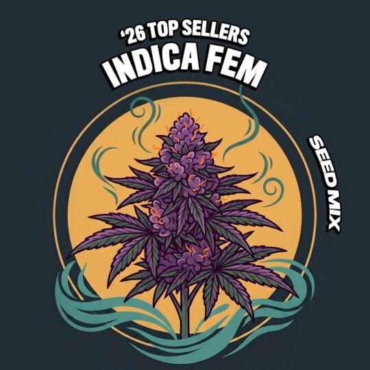 '26 Top Seller Indica Fem Seed Mix