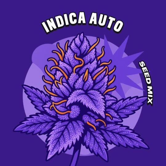 Indica Autoflower Seed Mix