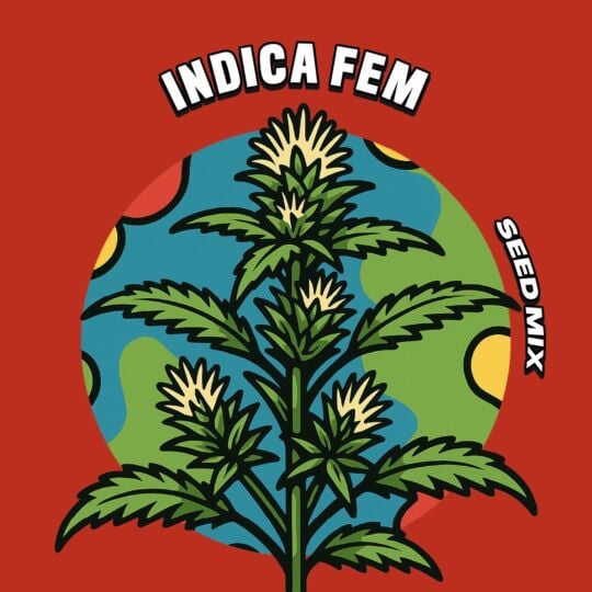 Indica Feminized Seed Mix