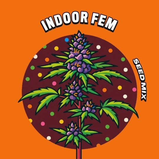 Indoor Feminized Seed Mix