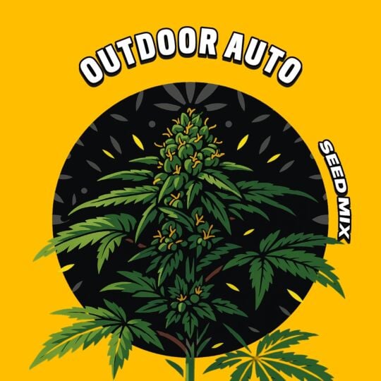 Outdoor Autoflower Seed Mix