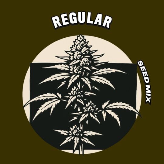 Regular Seed Mix 