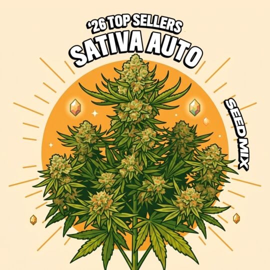 '26 Top Seller Sativa Auto Seed Mix