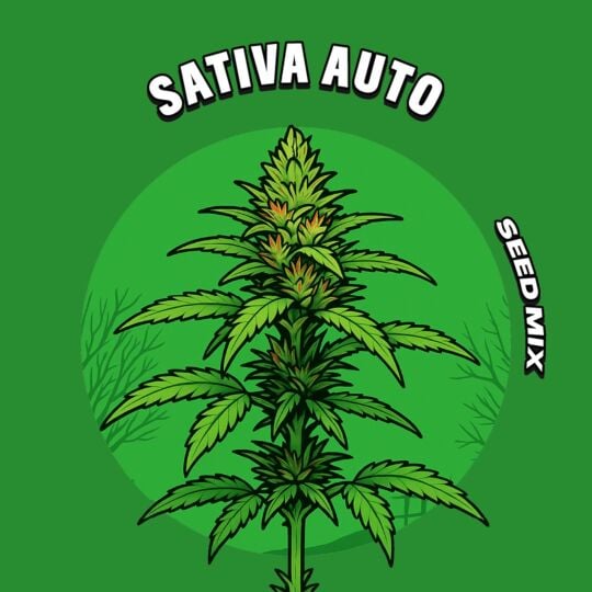Sativa Autoflower Seed Mix