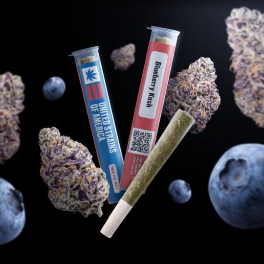 Blueberry Kush Pre-roll 1G