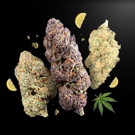Fresh THCa Flower Bundle