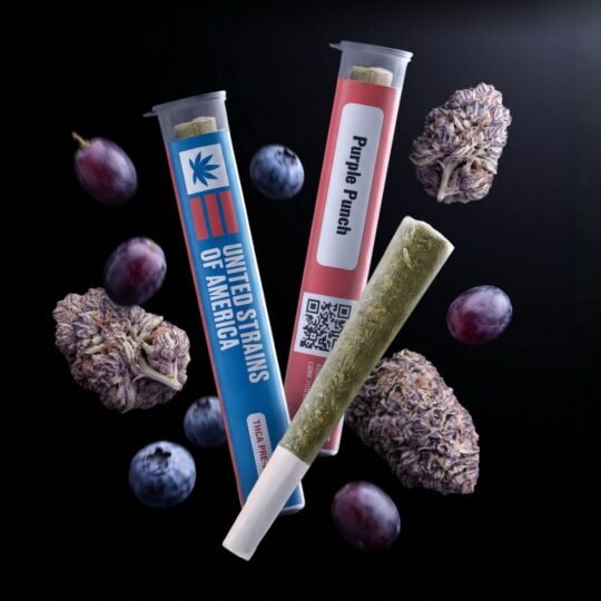 Purple Punch Pre-roll 1G